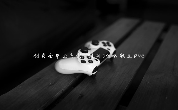 剑灵全毕业气宗 剑网3什么职业pve