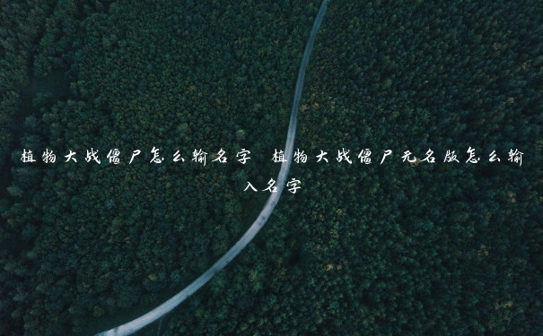 植物大战僵尸怎么输名字 植物大战僵尸无名版怎么输入名字